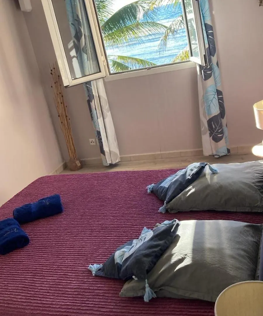 Appart vue mer 7/9p, accès direct plage et piscine Seze